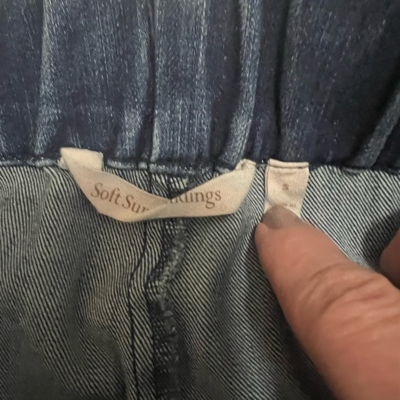 Soft Surroundings Embroidered Skinny Jean - Picture 4 of 8